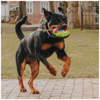 /assets/alt_1/XMMSSBBL.jpg?20251219104854