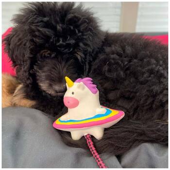 /assets/alt_1/XMMSSMMI.jpg?20251219104622