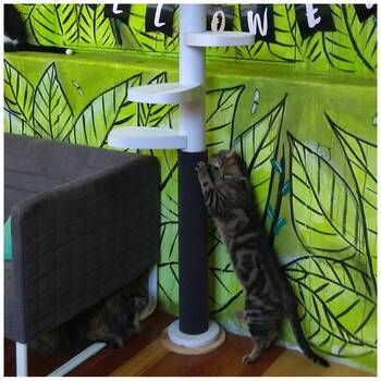 /assets/alt_1/XMTSCRATC.jpg?20251222164746