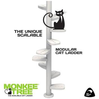 /assets/alt_1/XMTSP12BLK.jpg?20251222164737