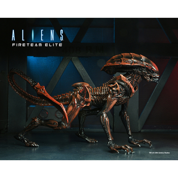 /assets/alt_1/XN51722.jpg?20240923123038