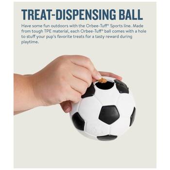 /assets/alt_1/XOHPDSWHT.jpg?20251219104529