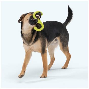 /assets/alt_1/XWPBUMTNGSM.jpg?20251223170118