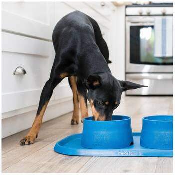 /assets/alt_1/XWPDPTRR.jpg?20251223170141