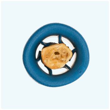 /assets/alt_1/XWPFUNMAR.jpg?20251223170150