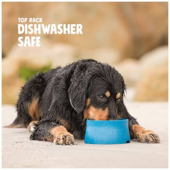 /assets/alt_1/XWPNSBTRR.jpg?20251223170208