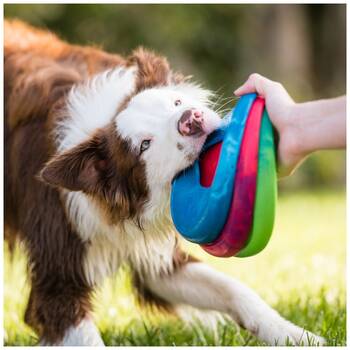 /assets/alt_1/XWPSAIEMD.jpg?20251223170032