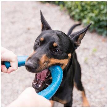 /assets/alt_1/XWPSNOEMD.jpg?20251223170059