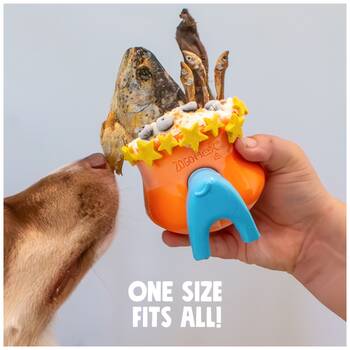 /assets/alt_1/XWPTOPSTOPTN.jpg?20251223170035