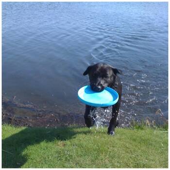 /assets/alt_1/XWPTUXGSMLG.jpg?20251223170121