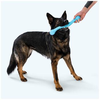 /assets/alt_1/XWPZWIAQA.jpg?20251223171538