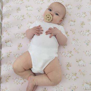 /assets/alt_2/133331.jpg?20250822144314