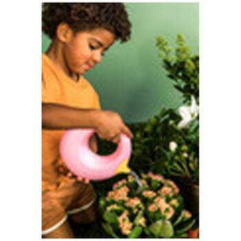 /assets/alt_2/171454.jpg?20251118154635