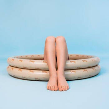 /assets/alt_2/2024SE1022.jpg?20250811113137