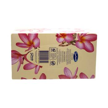 /assets/alt_2/2314776_24PK.jpg?20251022084541