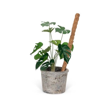 /assets/alt_2/25555_4PK.jpg?20230810142112