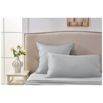 Large View /assets/alt_2/261E03_2PK.jpg?20251027151641