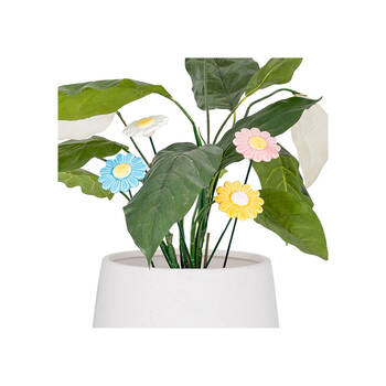 /assets/alt_2/30825.jpg?20250827153346