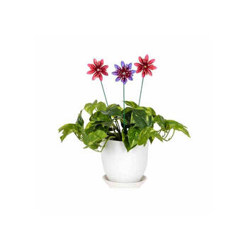 /assets/alt_2/30849_6PK.jpg?20250827161625