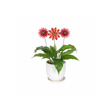 /assets/alt_2/30856_6PK.jpg?20250827161539