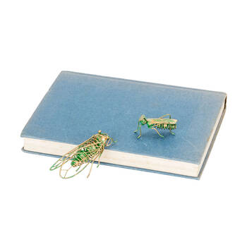 /assets/alt_2/31006_6PK.jpg?20250827161621