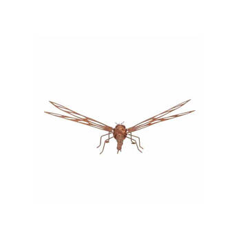 /assets/alt_2/31167.jpg?20250827153051