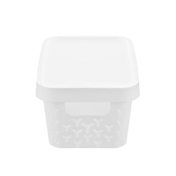 /assets/alt_2/33743_6PK.jpg?20250501165457