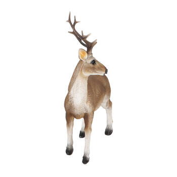 /assets/alt_2/37000026.jpg?20250704094920