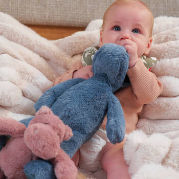 /assets/alt_2/43PLS.jpg?20250117091938