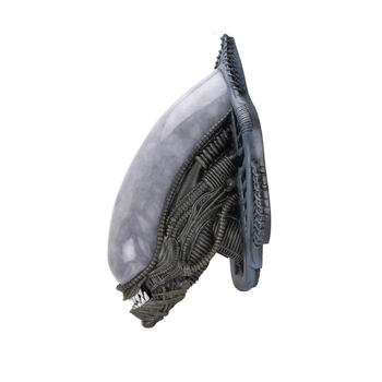 /assets/alt_2/51691.jpg?20240923123108