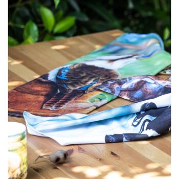 /assets/alt_2/521450_2PK.jpg?20260120120047