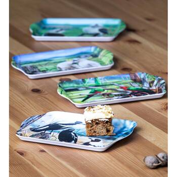 /assets/alt_2/521461.jpg?20260120120117