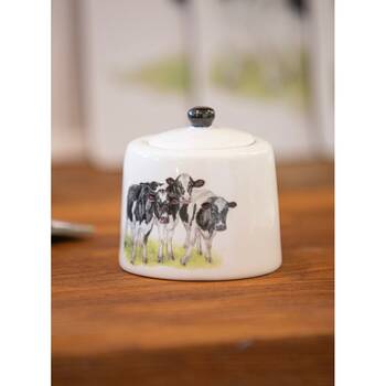 /assets/alt_2/522259.jpg?20260120121946