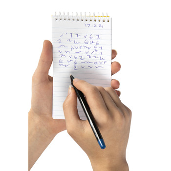 /assets/alt_2/55241.jpg?20240625151624