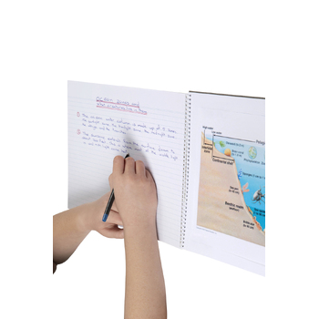 Large View /assets/alt_2/56060.jpg?20240625153843