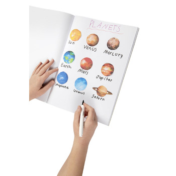 Large View /assets/alt_2/56154.jpg?20240625151935