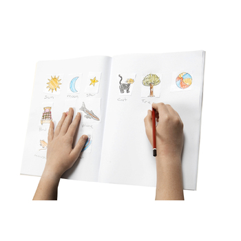 Large View /assets/alt_2/56354.jpg?20240625152148