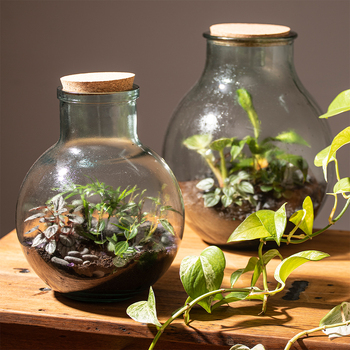 /assets/alt_2/60095.jpg?20220718141621