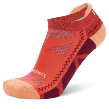 /assets/alt_2/611625.jpg?20231018095048