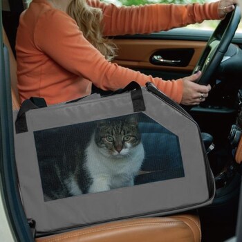 Large View /assets/alt_2/64665.jpg?20210806125737