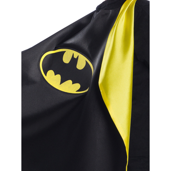 /assets/alt_2/700349.jpg?20240627161152