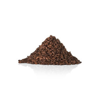 /assets/alt_2/7179.jpg?20251021121240