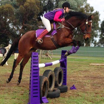 /assets/alt_2/780121.jpg?20250910121833