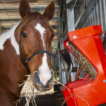 /assets/alt_2/780196.jpg?20250910121842