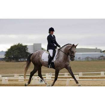 /assets/alt_2/780335.jpg?20250910121635