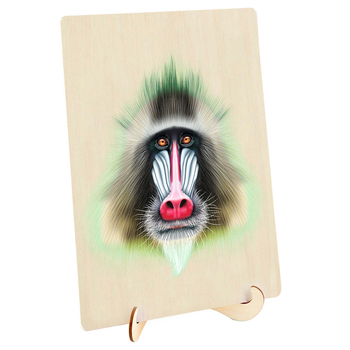 /assets/alt_2/9350375013855_9350375013.jpg?20241128163137