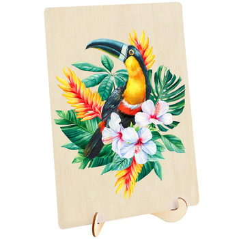 /assets/alt_2/9350375017471_9350375017.jpg?20241128163849