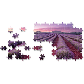/assets/alt_2/9354537001575.jpg?20230829162725