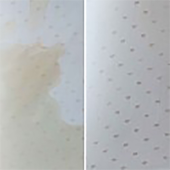 /assets/alt_2/A116083.jpg?20240701123047