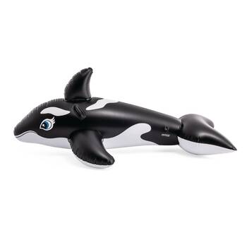 /assets/alt_2/A58561.jpg?20251014183228